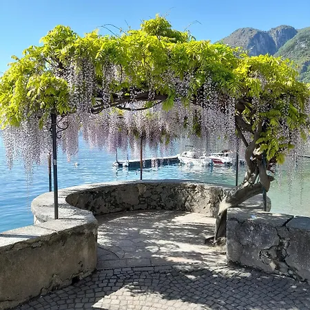 With Lovely Garden, Tremezzina