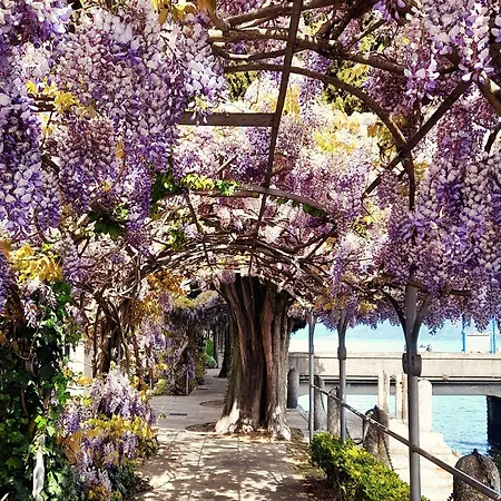 With Lovely Garden, Tremezzina Prázdninový dům