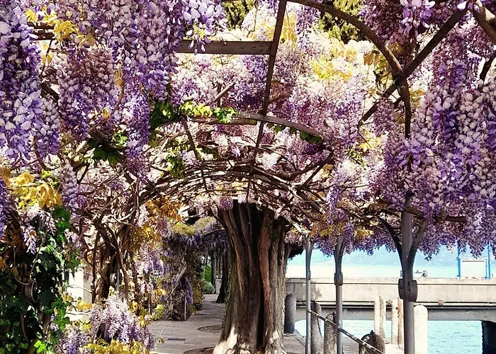 With Lovely Garden, Tremezzina 펜션